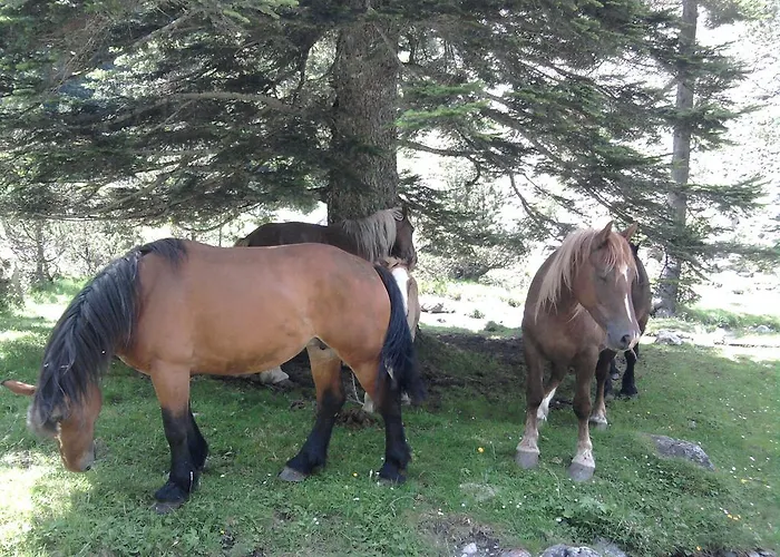 Appartement-cauterets Апартаменты