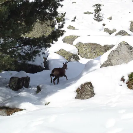 Appartement-cauterets Apartman